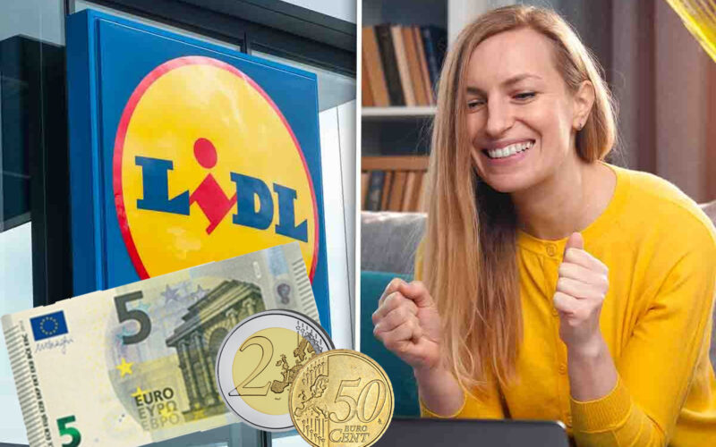 lidl-questa-volta-te-lo-regala-quasi,-meno-di-10-euro-per-il-regalo-piu-bello-per-natale:-farai-felice-tutte-le-donne!