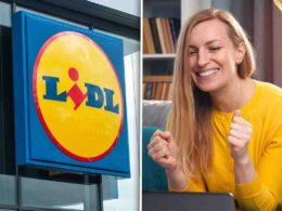 lidl-non-si-ferma-neanche-dopo-natale,-te-li-sta-regalando-quasi:-trovi-anche-quelle-a-2,79-euro!