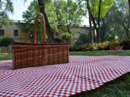 pic-nic-con-il-partner:-la-location-migliore-in-cui-farlo-e-a-un-passo-da-te