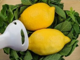 limone-e-menta,-guarda-che-ti-preparo!-e-cosi-buona-che-ora-la-faccio-ogni-giorno:-ha-solo-20-calorie!