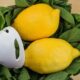 limone-e-menta,-guarda-che-ti-preparo!-e-cosi-buona-che-ora-la-faccio-ogni-giorno:-ha-solo-20-calorie!