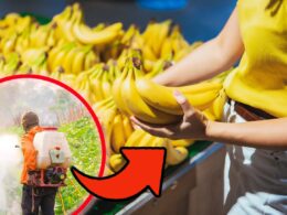 banane,-trovati-pesticidi-anche-nella-polpa:-se-ne-salvano-solo-3-su-20-marche-|-lidl,-carrefour-e-esselunga-in-fondo-alla-classifica!