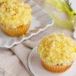 mini-mimose-senza-glutine:-il-dolce-che-devi-assolutamente-provare-per-la-festa-della-donna