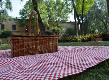 pic-nic-con-il-partner:-la-location-migliore-in-cui-farlo-e-a-un-passo-da-te