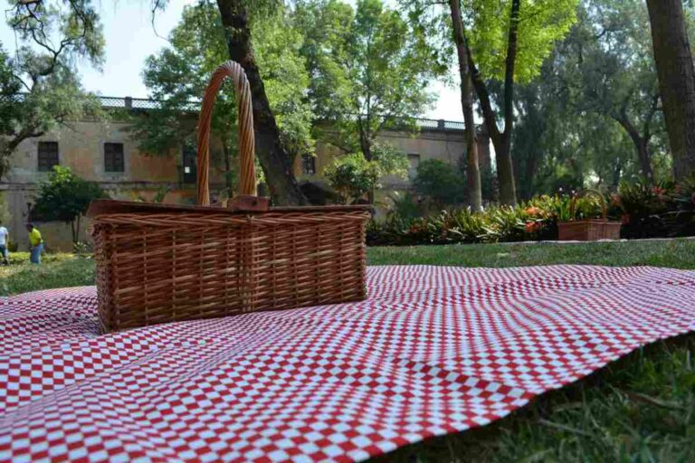 pic-nic-con-il-partner:-la-location-migliore-in-cui-farlo-e-a-un-passo-da-te